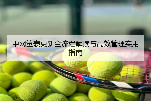 中网签表更新全流程解读与高效管理实用指南