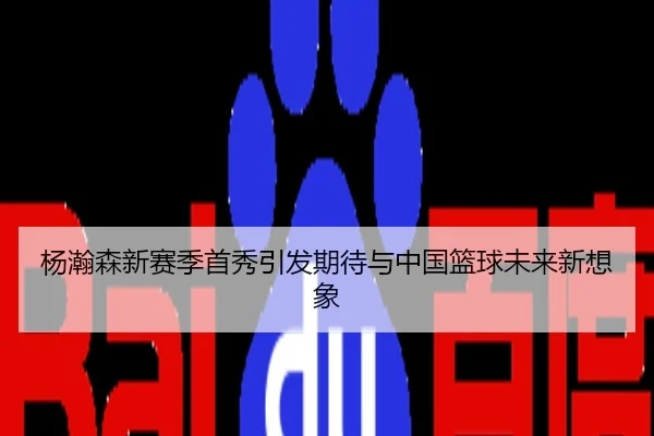 杨瀚森新赛季首秀引发期待与中国篮球未来新想象