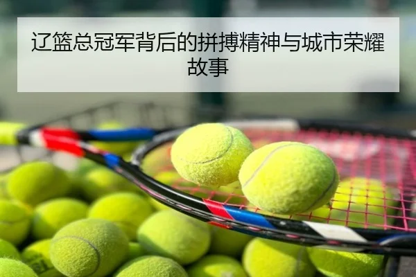 辽篮总冠军背后的拼搏精神与城市荣耀故事